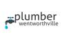 Plumber Wentworthville logo