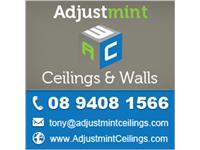 Adjustmint Ceilings and Walls image 1