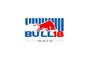 Bull18 Cleaners Perth logo