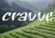Cravve - d&p rawfoods logo