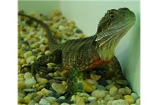 Aquariums & Reptiles at Cranbourne image 5