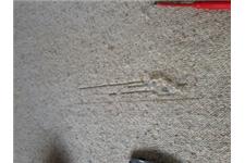Carpet Steam Cleaning Melbourne image 3