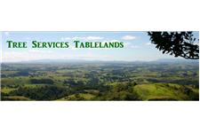 Tree Services Tablelands image 1