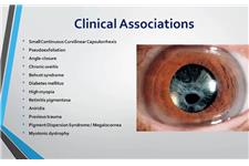 International Ophthalmology Portal image 2