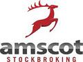 Amscot Discount Stockbroking image 4
