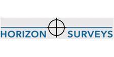 Horizon Surveys image 1