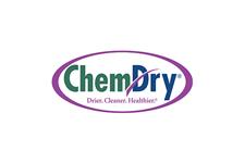 Chem-Dry Action image 1