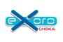 Exoro Choice logo