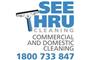 See Thru Cleaning logo