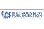 Blue Mountain Fuel Injection logo