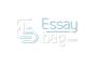 essay-bag.com logo