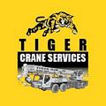 Tiger Crane Services image 1