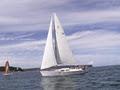Champagne Sailing Sydney image 4