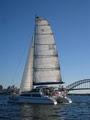 Champagne Sailing Sydney image 3