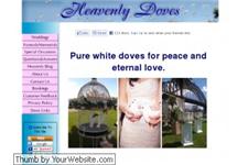 Heavenly White Doves Sydney image 1