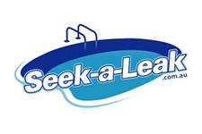 Seek-a-Leak image 1