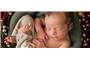 Little Orange Photography -  Maternity Photographer Gold Coast logo