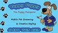 Yuppy Puppy Mobile Dog Grooming Gold Coast image 1