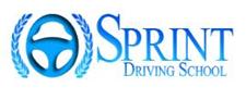 Sprint Driving School image 1
