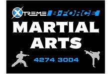 Xtreme B-Force Martial Arts image 1