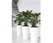 Office Plant Hire image 6