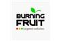 Burning Fruit logo
