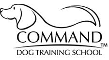 Dog Training image 1