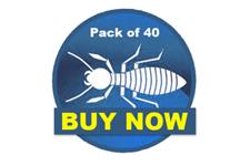 DIY Termite Treatment Protection image 1