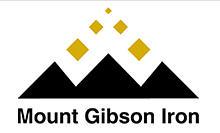 Mt Gibson Iron image 1
