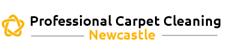 Professional Carpet Cleaning Newcastle image 1