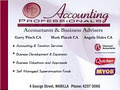 Accounting Professionals logo