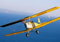 Adelaide Biplanes image 3
