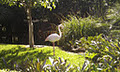 Adelaide Zoo image 4