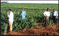 Agri-Labour Suppliers image 6