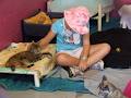Animal Welfare League of Qld & Rehoming Centre - Gold Coast image 4