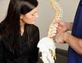 Armadale Chiropractic Centre image 3