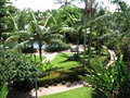 Australis Cairns Beach Resort image 2