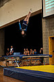 Ayrial - Dance, Team Gymnastics & Trampoline Sports image 1