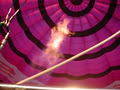 Balloon Aloft Gold Coast - Hot Air Balloon Rides image 1