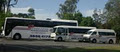 Belbaker Bus Charters image 1