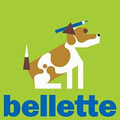 Bellette Media logo