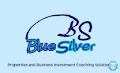 Bluesilver Business Marketing Consultant image 2