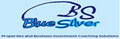 Bluesilver Business Marketing Consultant image 3
