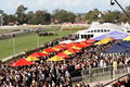 Brisbane Racing Club - Eagle Farm Racecourse logo