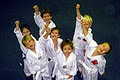 Brisbane Taekwondo Centre image 2