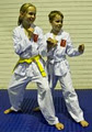 Brisbane Taekwondo Centre image 6