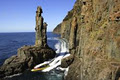 Bruny Island Cruises image 2