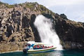Bruny Island Cruises image 4