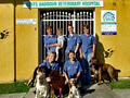 Coffs Harbour Veterinary Hospital image 1