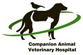 Companion Animal Veterinary Hospital image 4